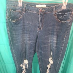 Cato 18W Jeggings